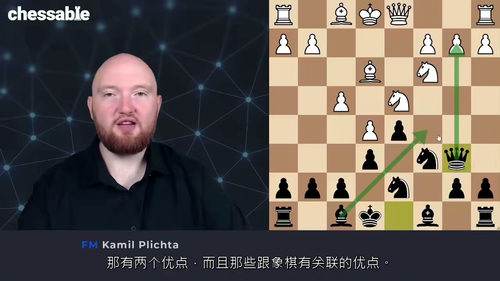 [中字] 国际象棋大师FM Kamil Plichta 法兰