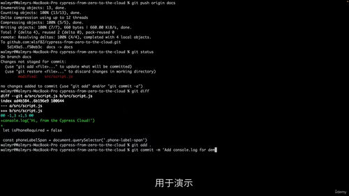 [中字] Cypress 从入门到云端：自动化测试实战指南（