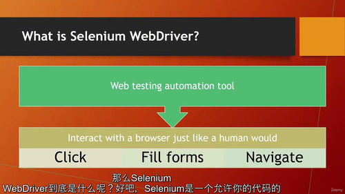 [中字] 使用 Java 的 Selenium 自动化测试框