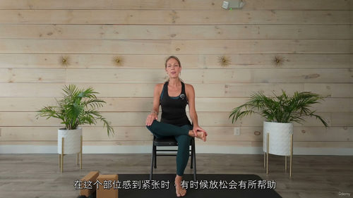 [中字] 力量与稳定椅上瑜伽课程（中文字幕英文视频教程）