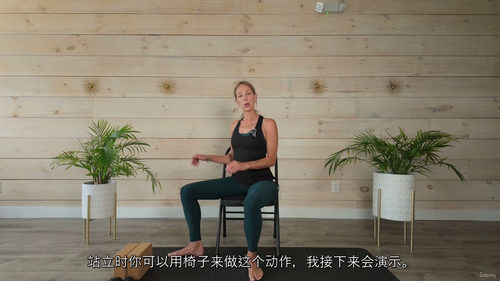 [中字] 力量与稳定椅上瑜伽课程（中文字幕英文视频教程）