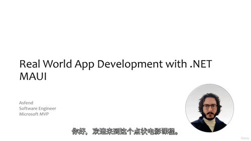 [中字] 实战.NET MAUI：从后端搭建到前端部署的房产