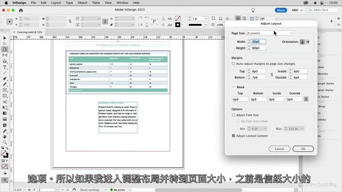 [中字] InDesign 设计达人进阶指南：从基础到实战的