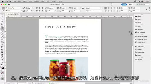 [中字] InDesign 设计达人进阶指南：从基础到实战的