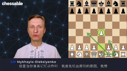 [中字] 黑白棋开局指南 - 特级大师米哈伊洛・奥列克西延科