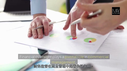 [中字] 商业管理专业文凭课程（中文字幕英文视频教程）