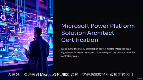 [中字] Microsoft PL-600 认证备考课程（P