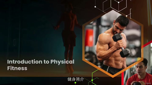 [中字] 个人健身训练文凭（CPD 认证）课程（中文字幕英文