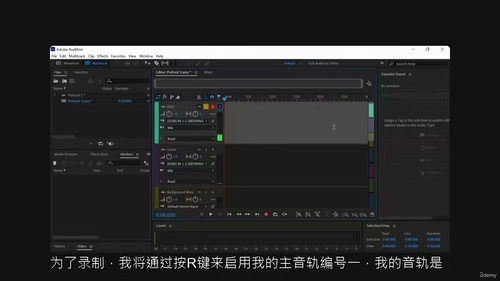 [中字] Adobe Audition 多轨录音与编辑实战指