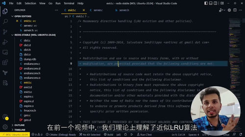 [中字] Redis 内核探秘课程（中文字幕英文视频教程）