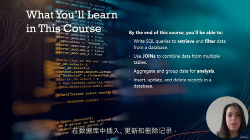 [中字] SQL 入门到精通：从零开始成为查询高手（中文字幕