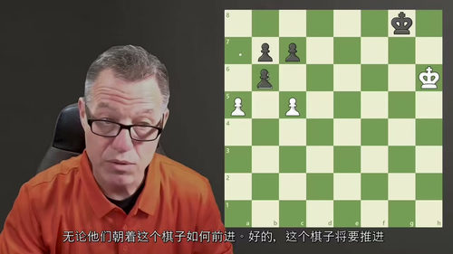 [中字] 兵之谋略 —— 国际象棋兵的奥秘探索（中文字幕英文