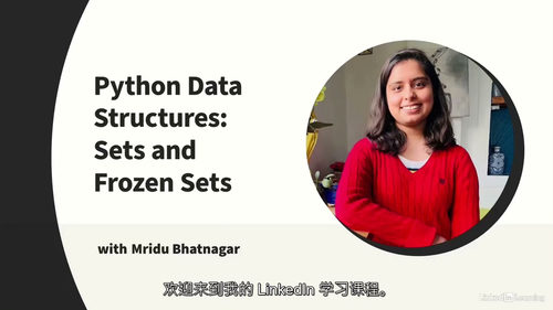 [中字] Python 数据结构：集合与不可变集合（中文字幕