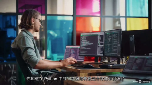 [中字] Python 数据结构：集合与不可变集合（中文字幕