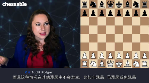 [中字] 波尔加精讲国际象棋残局（第二部分）（中文字幕英文视