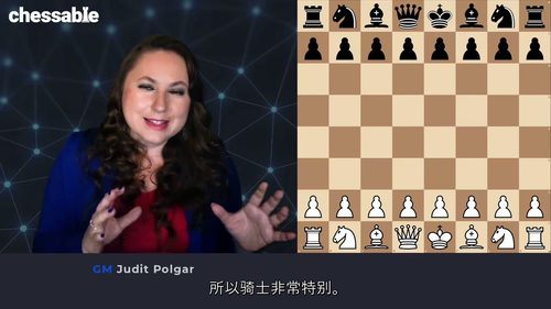 [中字] 波尔加精讲国际象棋残局（第二部分）（中文字幕英文视