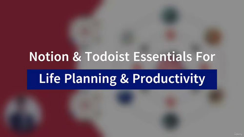 [中字] Notion 与 Todoist 高效指南：用数字