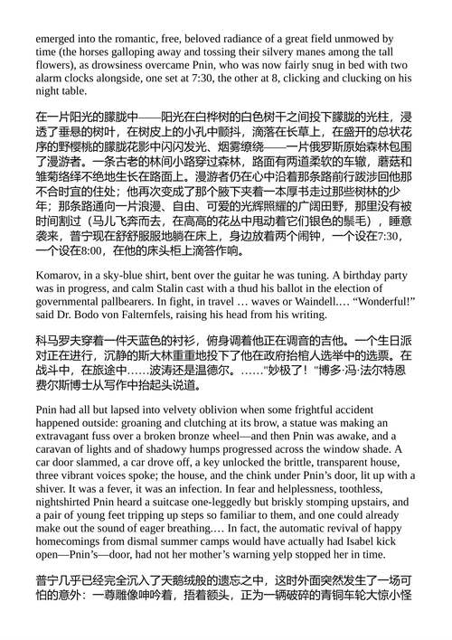 普宁 弗拉基米尔·纳博科夫 (英文电子书)