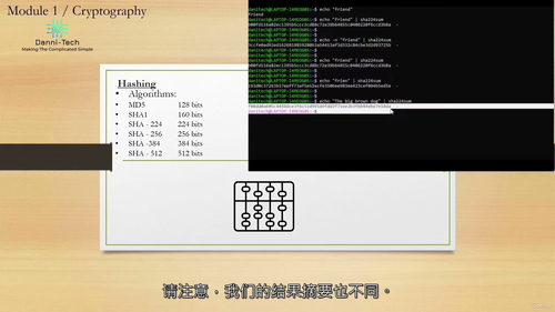 [中字] PKI 安全防护迷你课程（中文字幕英文视频教程）