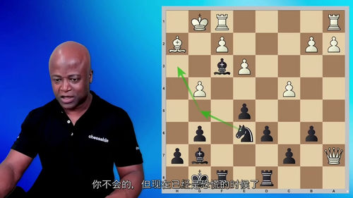 [中字] 黑暗森林 第二卷：来势汹汹的小卒 - 国际大师莫里