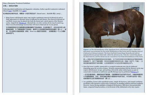 马匹急诊分诊指南 (双语对照版电子书）