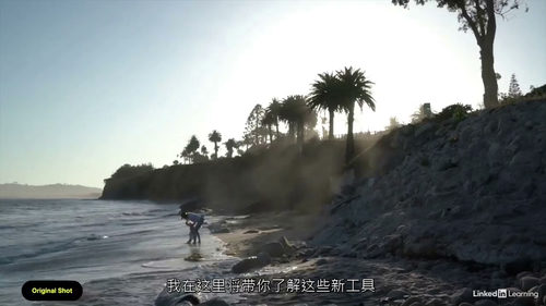 [中字] Adobe Premiere Pro AI 视频编