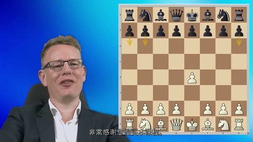 [中字]古斯塔夫森的激进 1.e4 开局 - 第一部分（中文