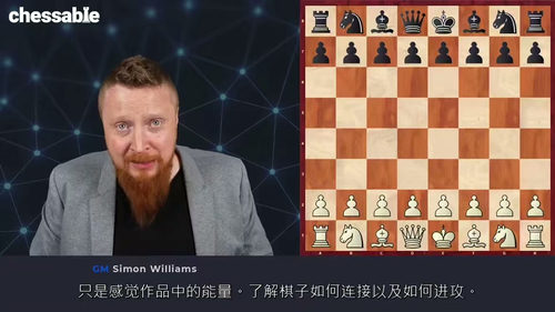 [中字] 米哈伊尔・塔尔的生平与棋局：西蒙・威廉姆斯特级大师
