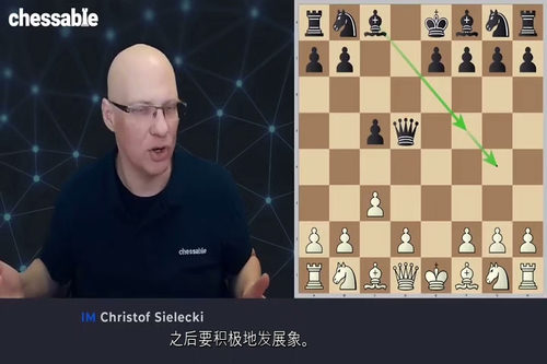 [中字] 简明国际象棋：1.e4 开局体系 2.0 版（IM