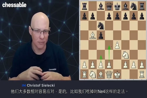 [中字] 简明国际象棋：1.e4 开局体系 2.0 版（IM