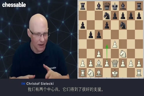 [中字] 简明国际象棋：1.e4 开局体系 2.0 版（IM