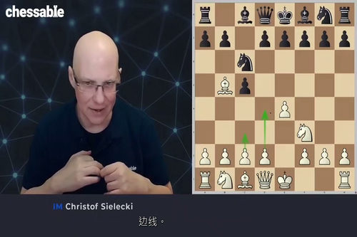 [中字] 简明国际象棋：1.e4 开局体系 2.0 版（IM