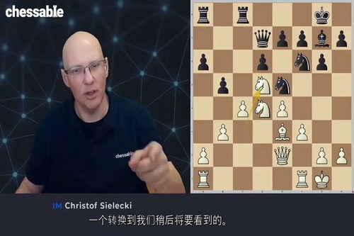 [中字] 简明国际象棋：1.e4 开局体系 2.0 版（IM