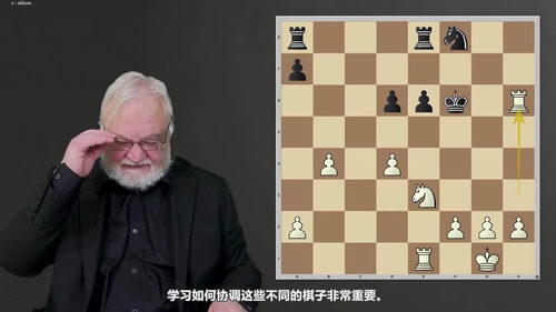 [中文配音]尤索波夫国际象棋提升课：基础篇