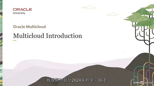 [中字] 甲骨文云基础设施多云架构师助理课程（中文字幕英文视