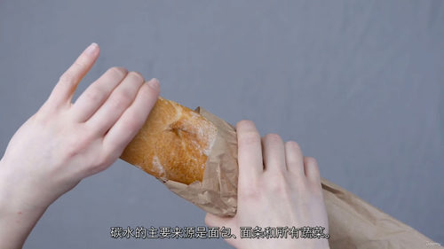 [中字] 健身与营养大师课：身体蜕变指南（中文字幕英文视频教