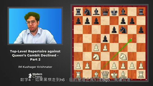 [中字] 高阶后翼弃兵防御应对棋谱（第二部分）——IM Ku