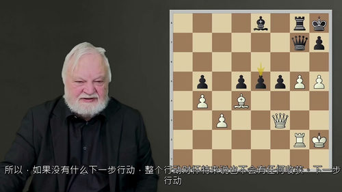[中字] 国际象棋进阶：提升你的棋艺（中文字幕英文视频教程）