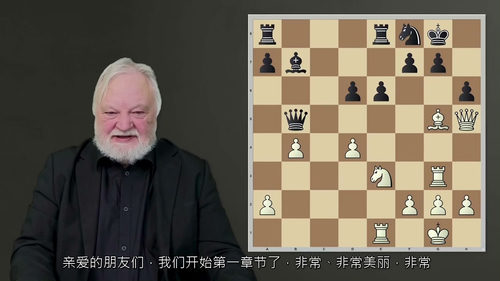 [中字] 国际象棋进阶：提升你的棋艺（中文字幕英文视频教程）