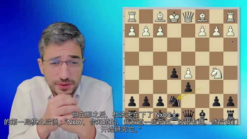 [中字]弗雷西内的国际象棋斯维什尼科夫西西里防御（中文字幕英
