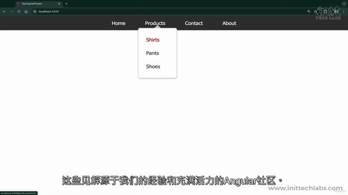 [中字] Angular 18 从新手到专家 + 面试题课程