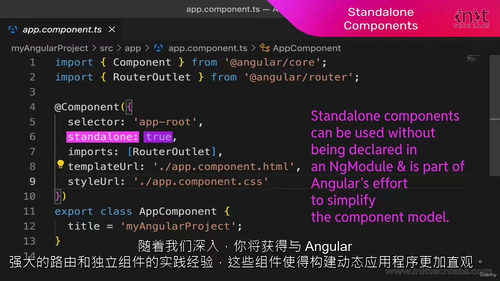 [中字] Angular 18 从新手到专家 + 面试题课程