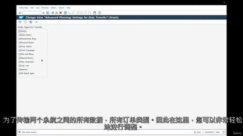 SAP S4 - HANA PPDS 嵌入式配置实战指南:从