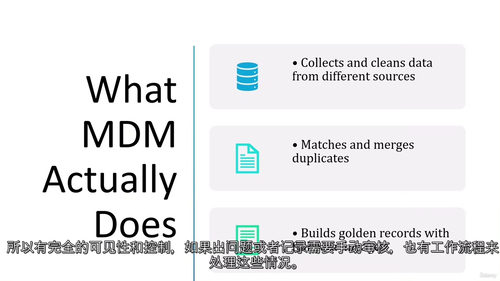 [中字] Informatica 主数据管理（MDM）IDM