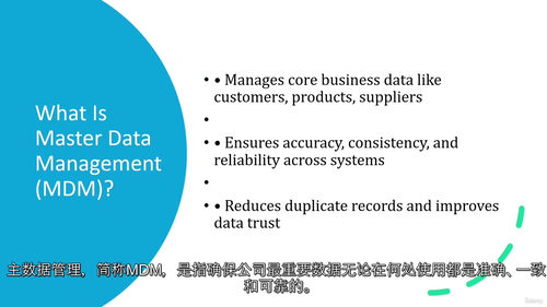 [中字] Informatica 主数据管理（MDM）IDM