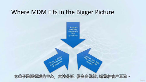 [中字] Informatica 主数据管理（MDM）IDM