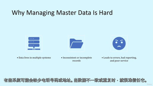 [中字] Informatica 主数据管理（MDM）IDM