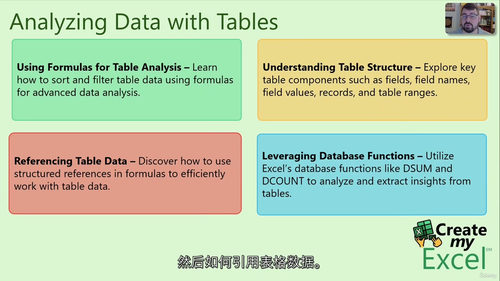 [中字] Excel 表格与数据透视表入门（中文字幕英文视频