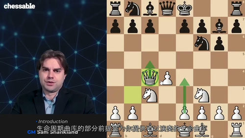 [中字] 国际象棋 1.d4 开局体系 第二部分 - GM