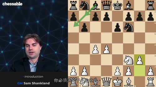 [中字] 国际象棋 1.d4 开局体系 第二部分 - GM